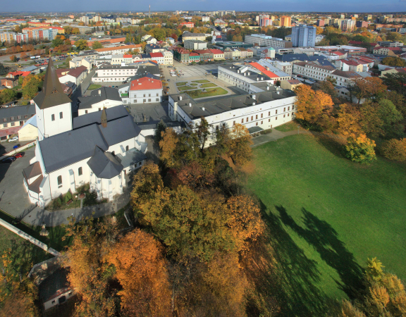 1290-frystat-z-parku-zhora_2 1290-frystat-z-parku-zhora_2
