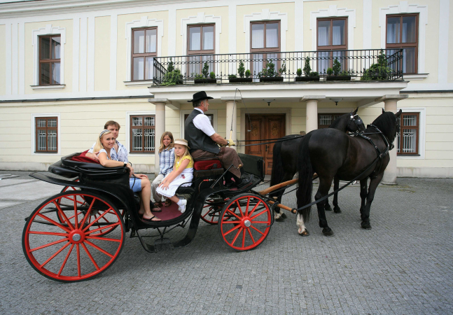 825-zamek-frystat-kocarkone_2 825-zamek-frystat-kocarkone_2